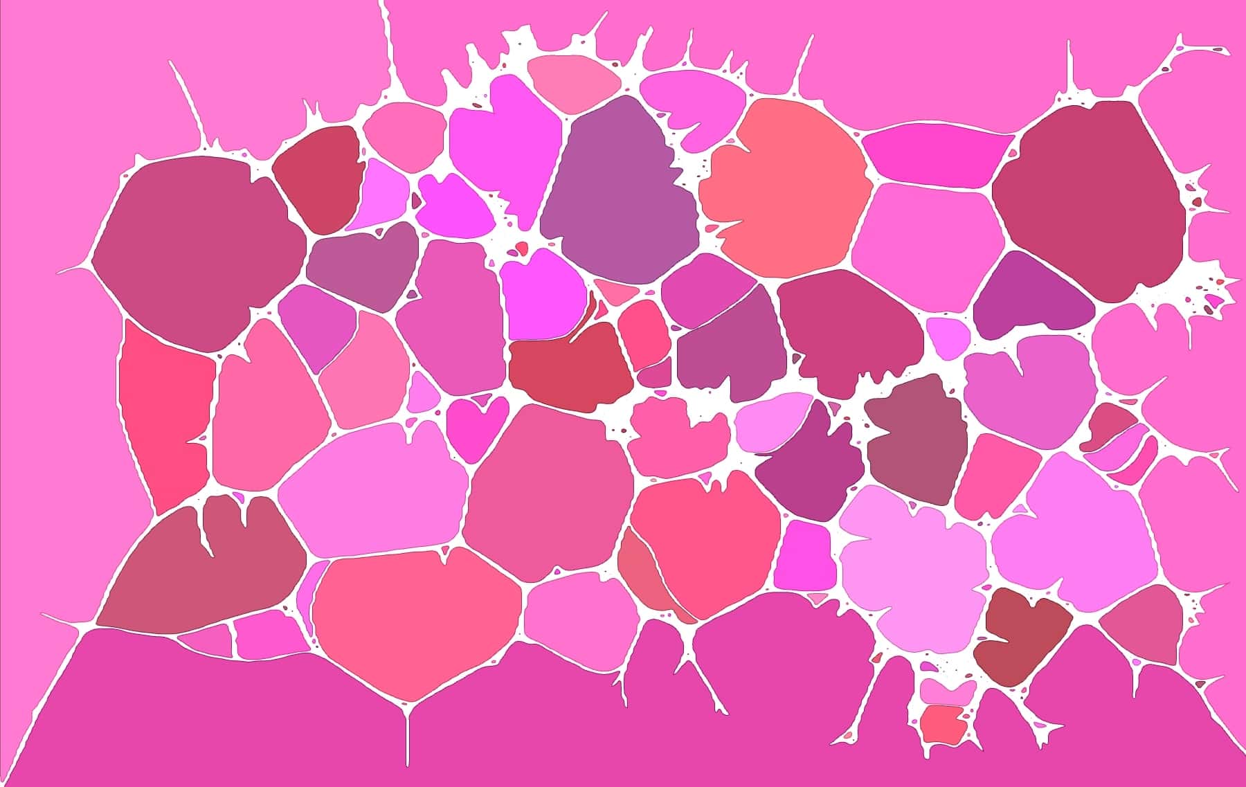 Project 4 - WissA/WissA-Felder.jpg